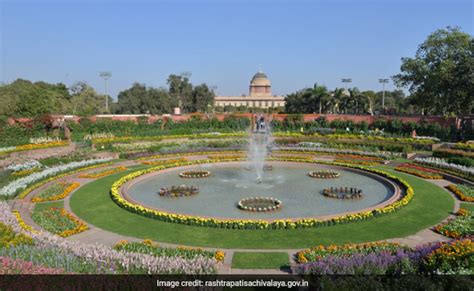 “The Mughal Garden” – A Tranquil Oasis Filled with Exotic Blooms and Intricate Architectural Details!